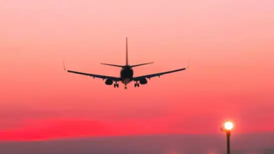 Pilot explains the 'big reason' phones need to be in Airplane Mode: 'Not a conspiracy ...'